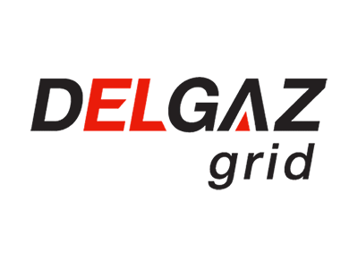Delgaz Grid